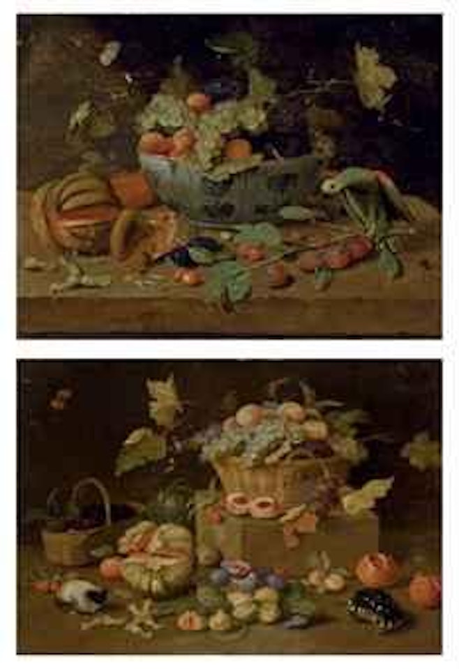 Fruits dans un plat en Delft, perroquet et écureuil sur un entablement; et Un panier de fruits, tortue et cochon d'Inde by Jan Van Kessel The Elder