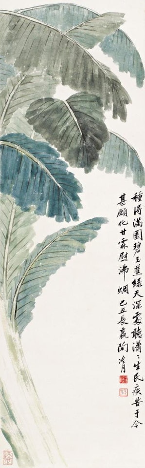 Canna by Lengyue Tao