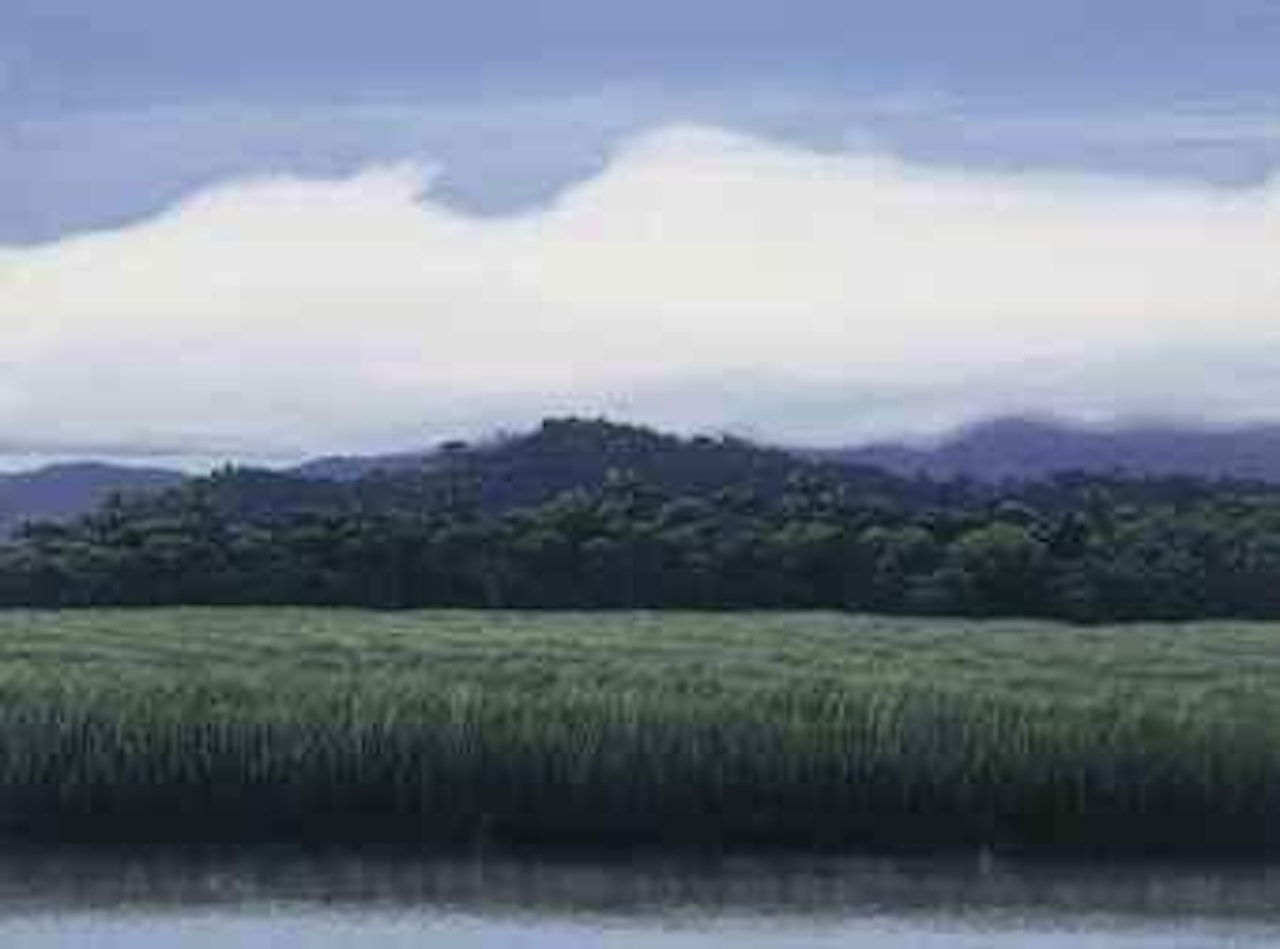 Paisaje con nube baja by Tomas Sanchez