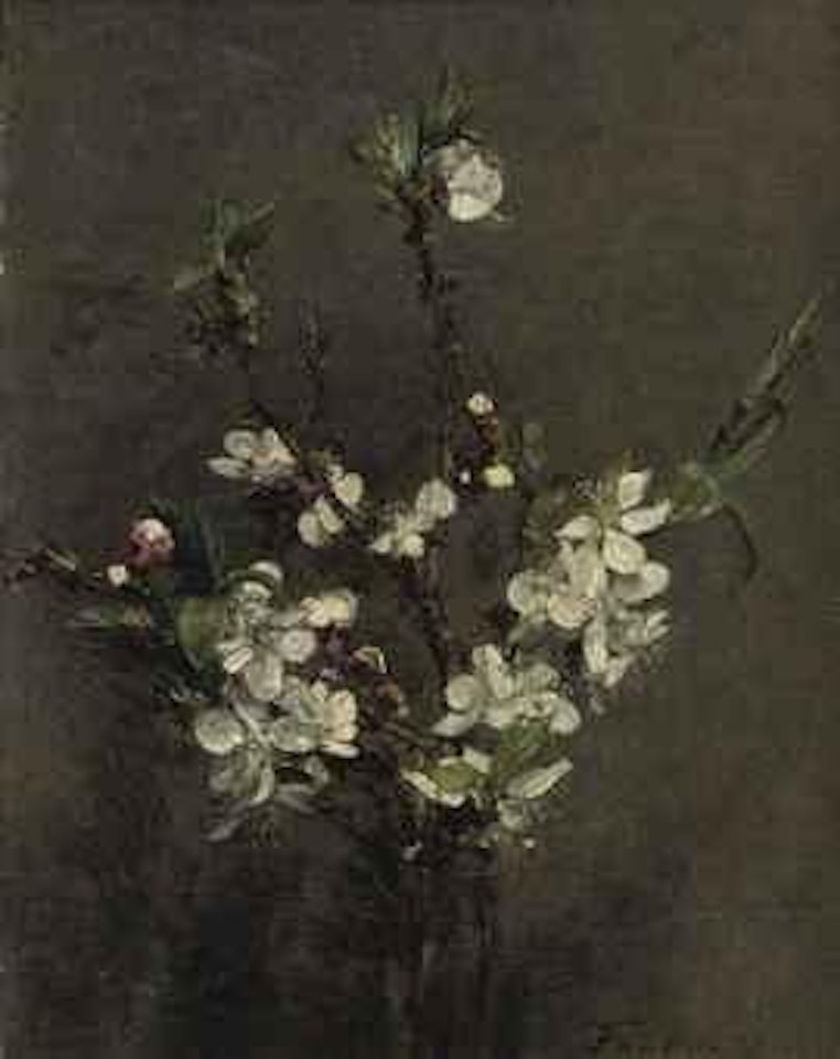 Fleurs d'arbre fruitier by Henri Fantin-Latour