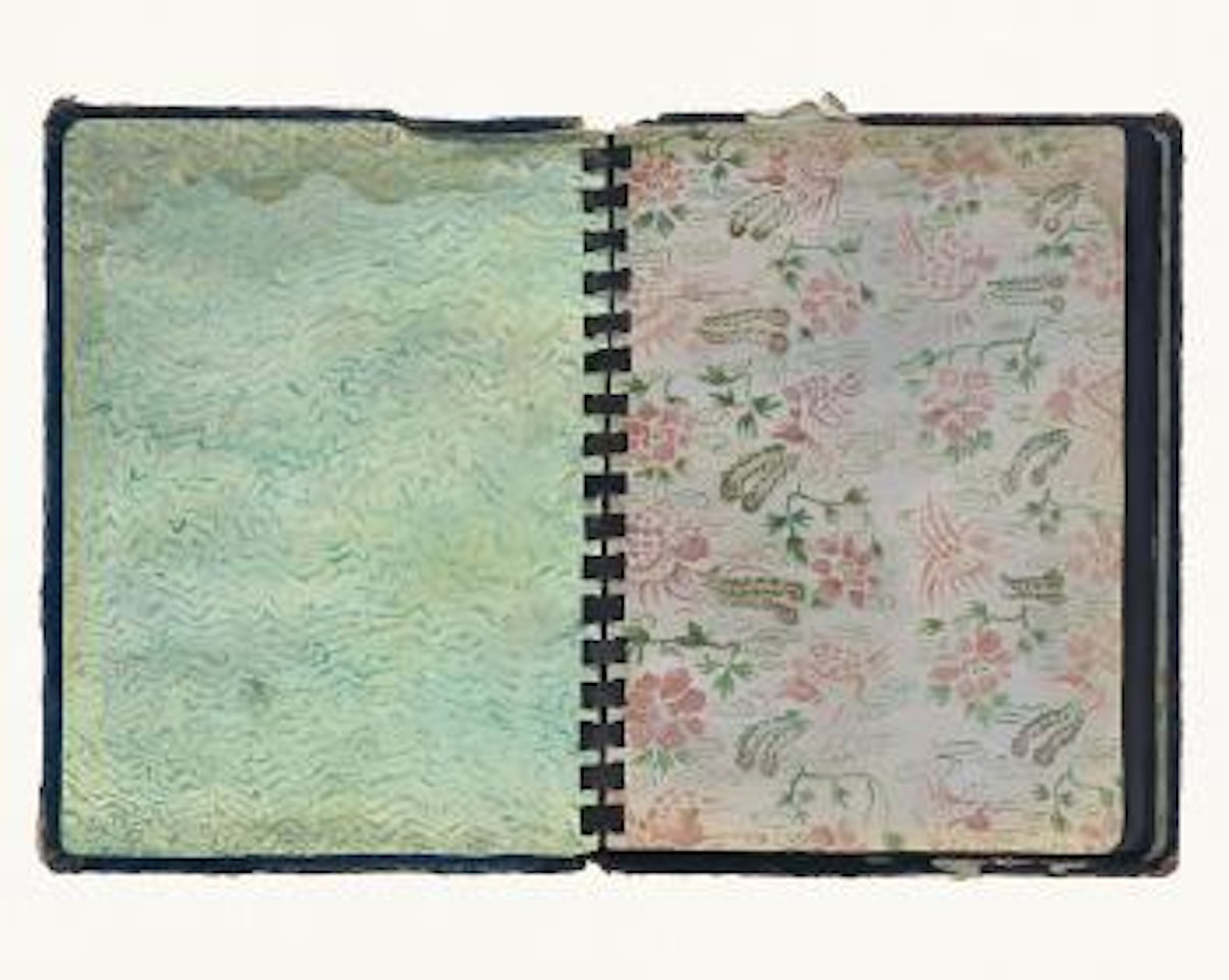 The 1st page of a photo album by Qiu Xiaofei