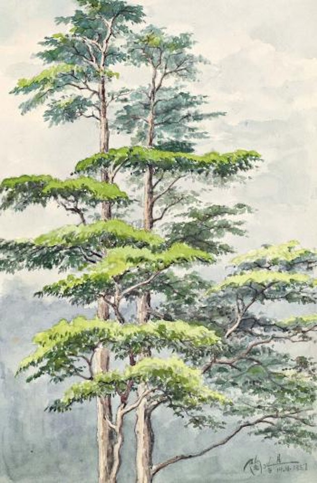 Fuxing Park, pine trees after a snow by Lengyue Tao