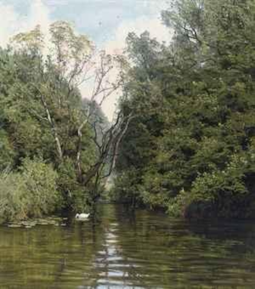 Norfolk Broads by David Smith