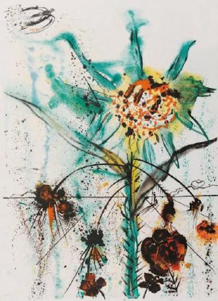Sun goddess flower by Salvador Dali