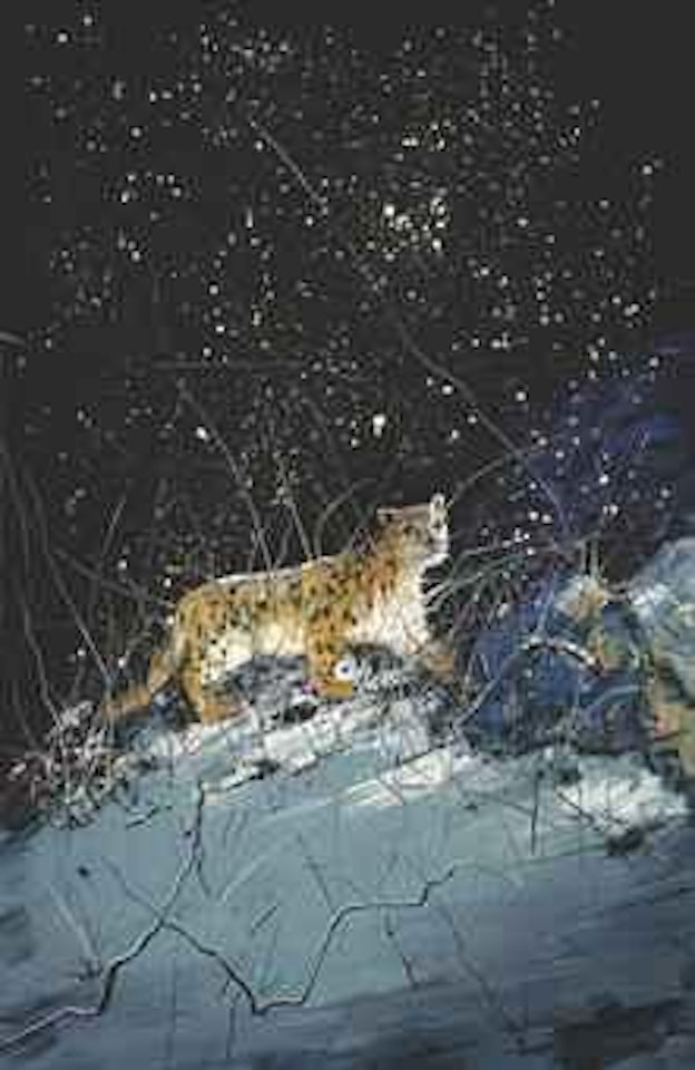 The Leopard by Zeng Fanzhi