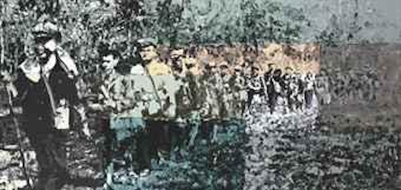 Khmer Rouge by Li Songsong