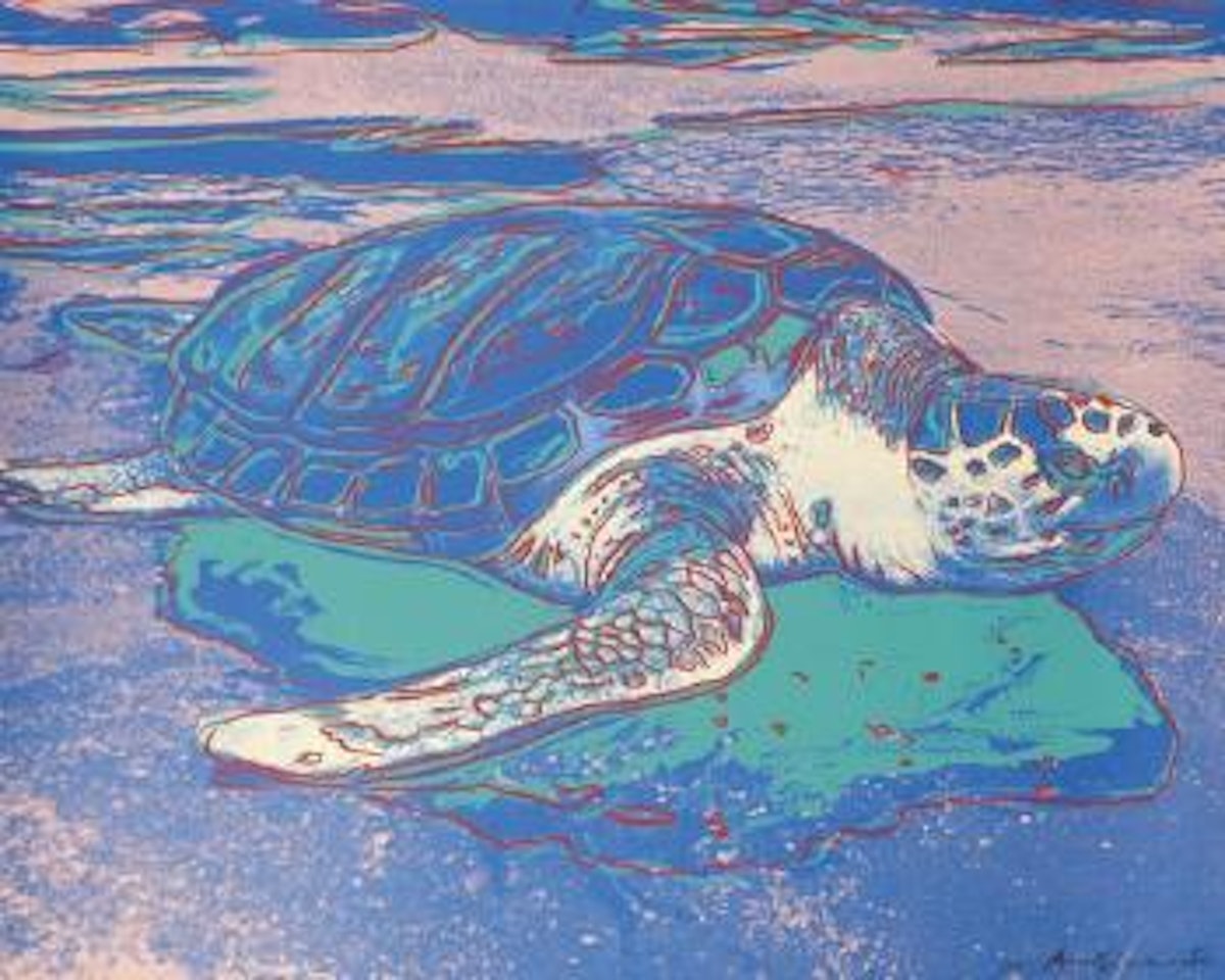 Turtle by Andy Warhol