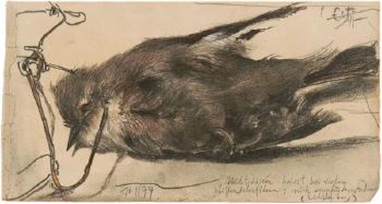 Toter Vogel by Horst Janssen