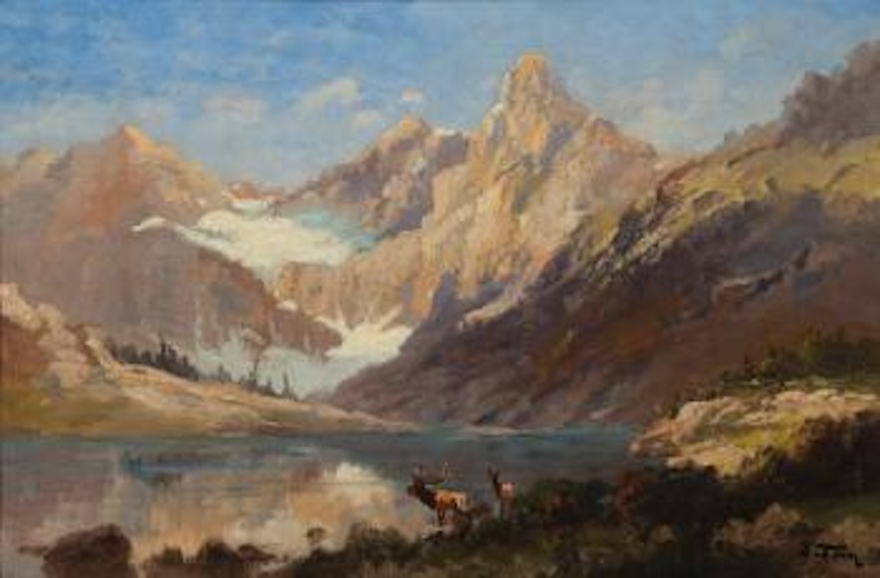Elk in Glacier Park by John Fery