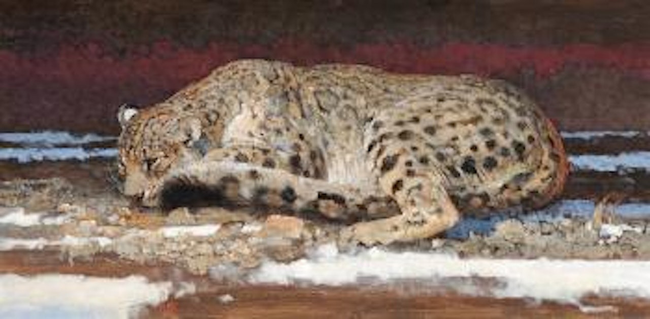Ghost of the Gobi by Bob Kuhn