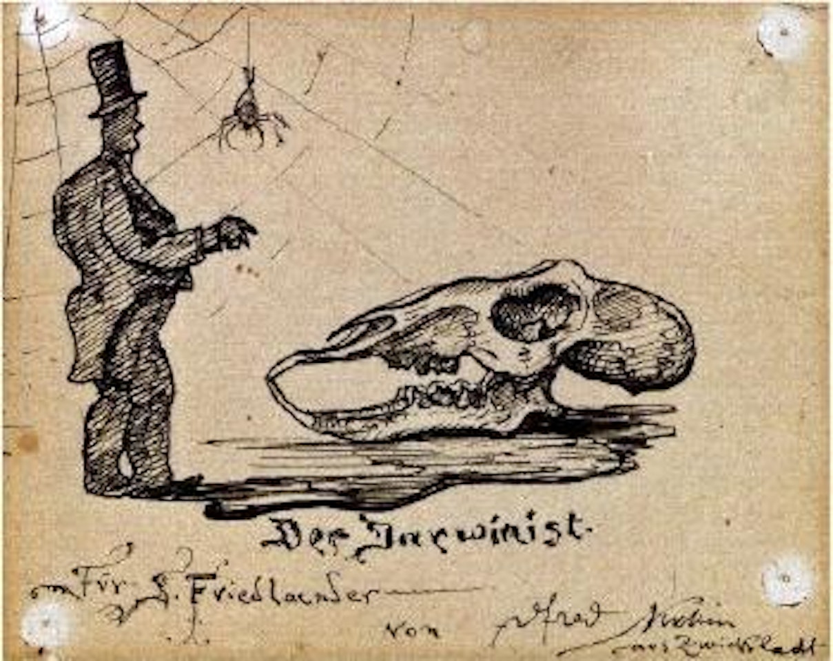 Der Dawinist by Alfred Kubin