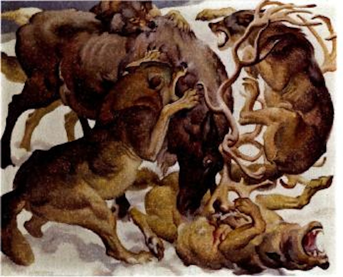 Der Kampf by Norbertine Bresslern-Roth