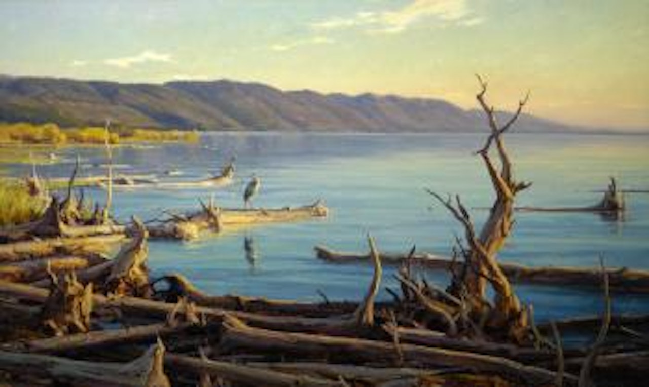 Flathead Lake bird refuge by Clyde Aspevig