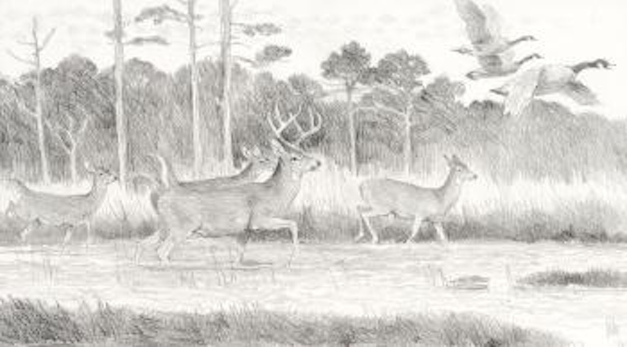 Deer and Canada geese by Bob Kuhn
