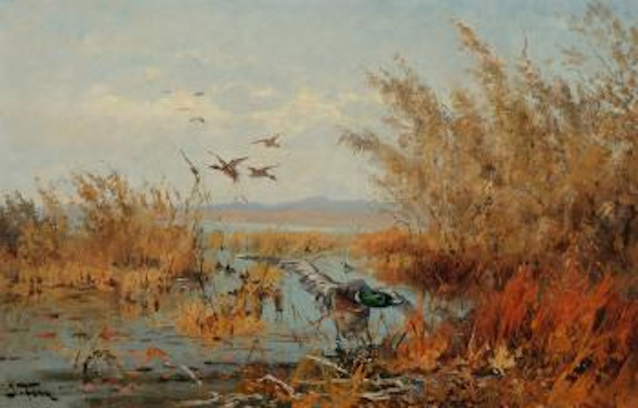 Mallards by John Fery
