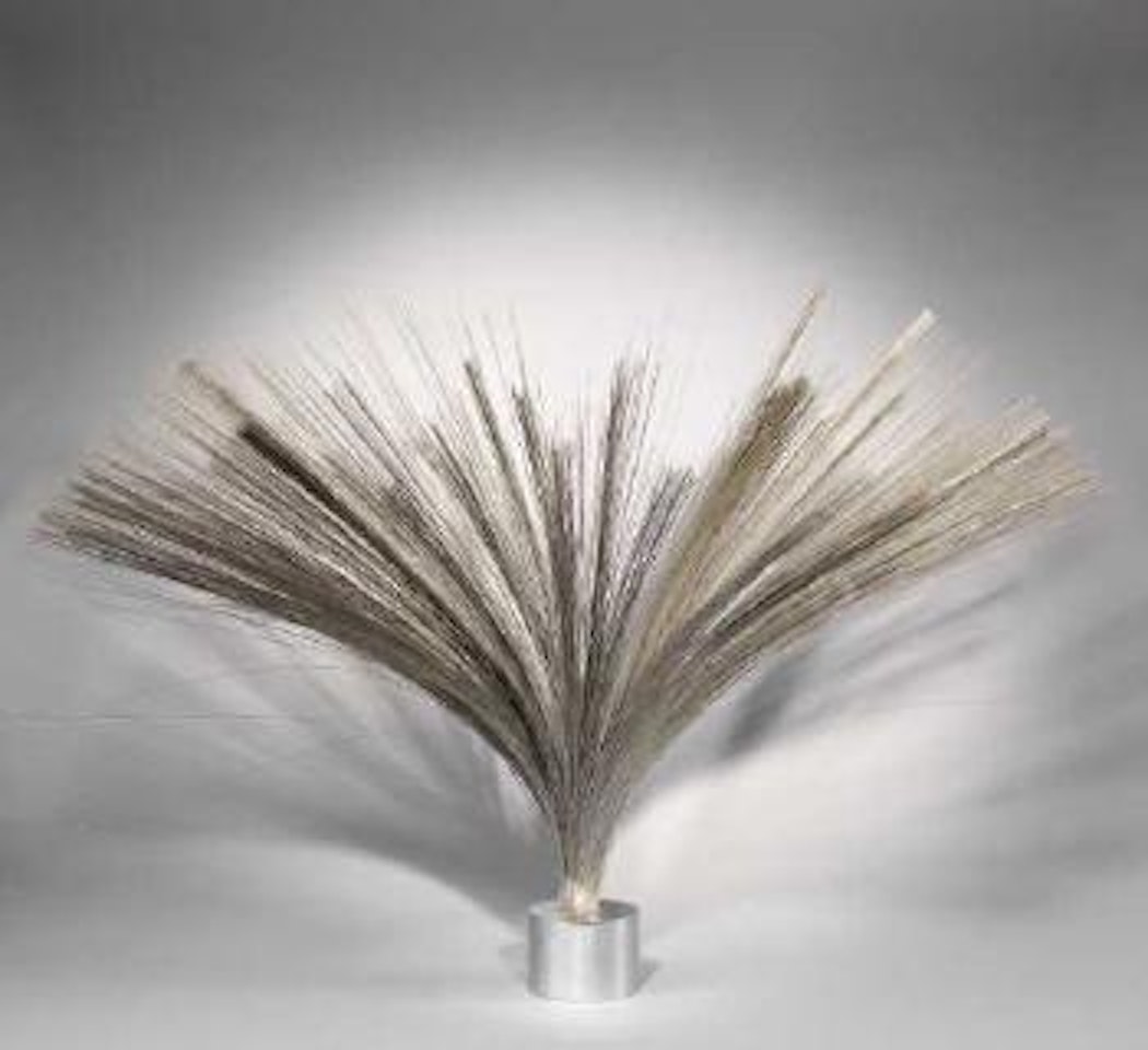 Ohne Titel (Spray) by Harry Bertoia