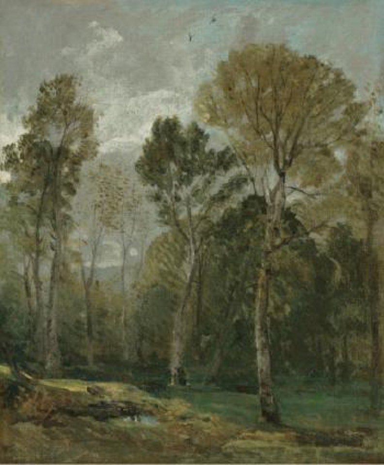 View Of a Copse by John Constable