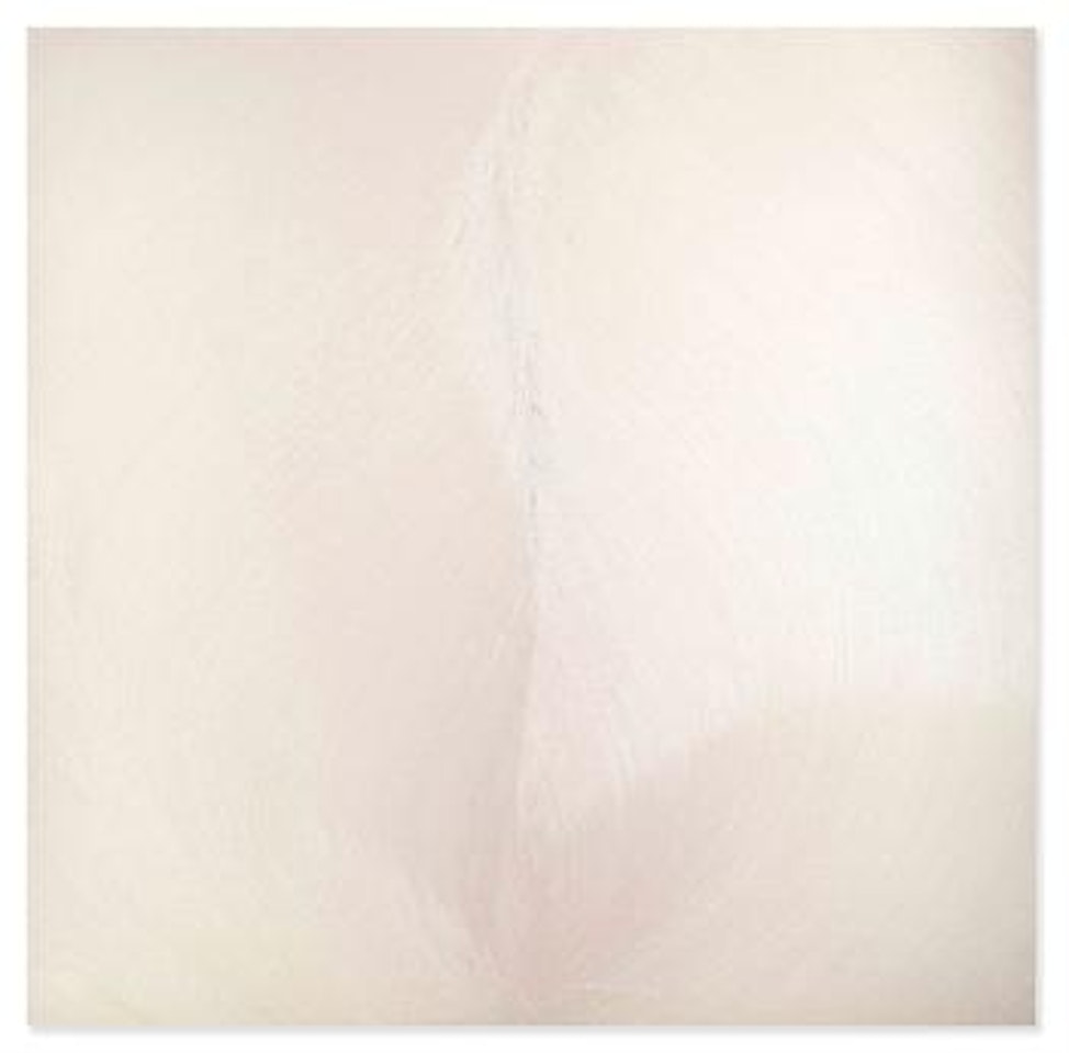 Scent by Jason Martin