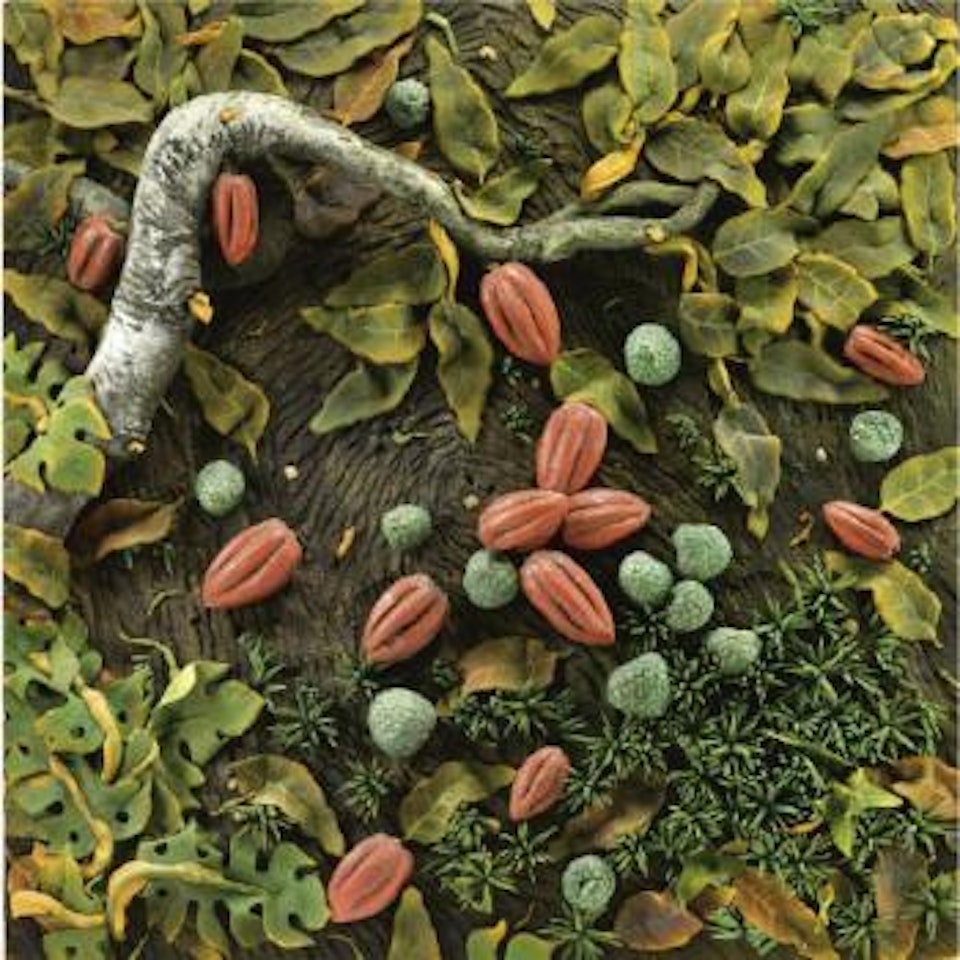 Cacao by Piero Gilardi