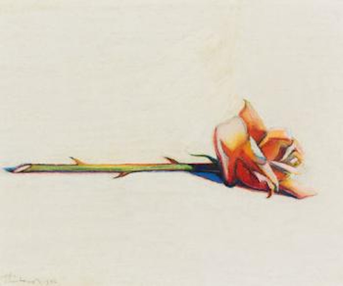 Rose by Wayne Thiebaud