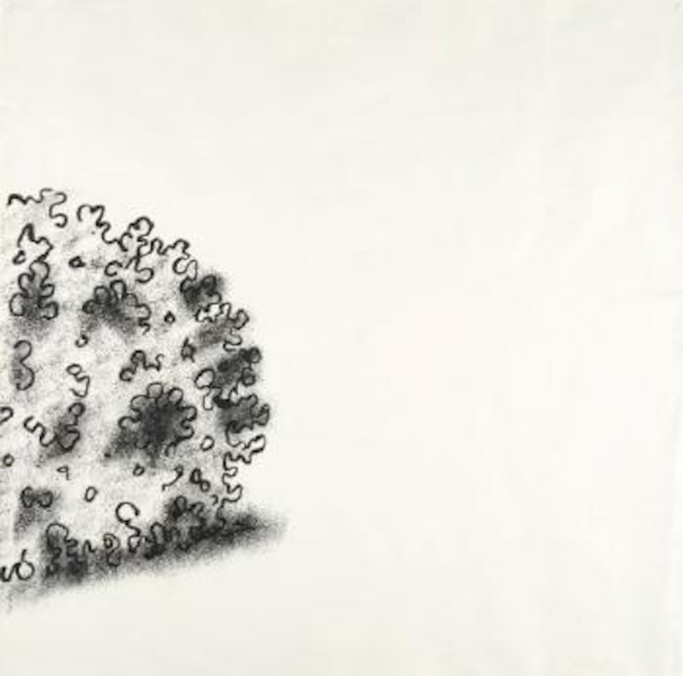 Bush Drawing by Mike Kelley