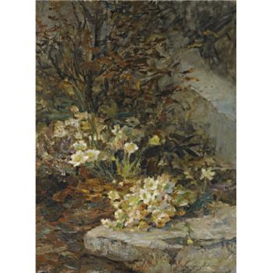 Schneerosen (Hellebores) by Olga Wisinger-Florian