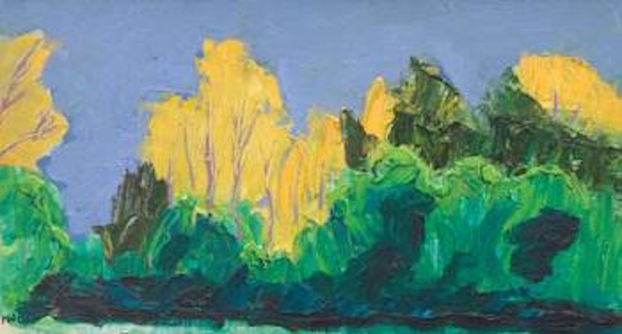 Takaka springtime by Michael Smither