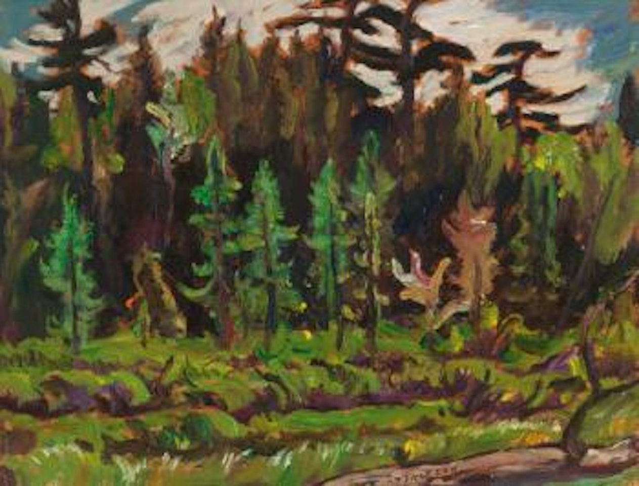 Muskeg, Lake Superior by Alexander Young Jackson