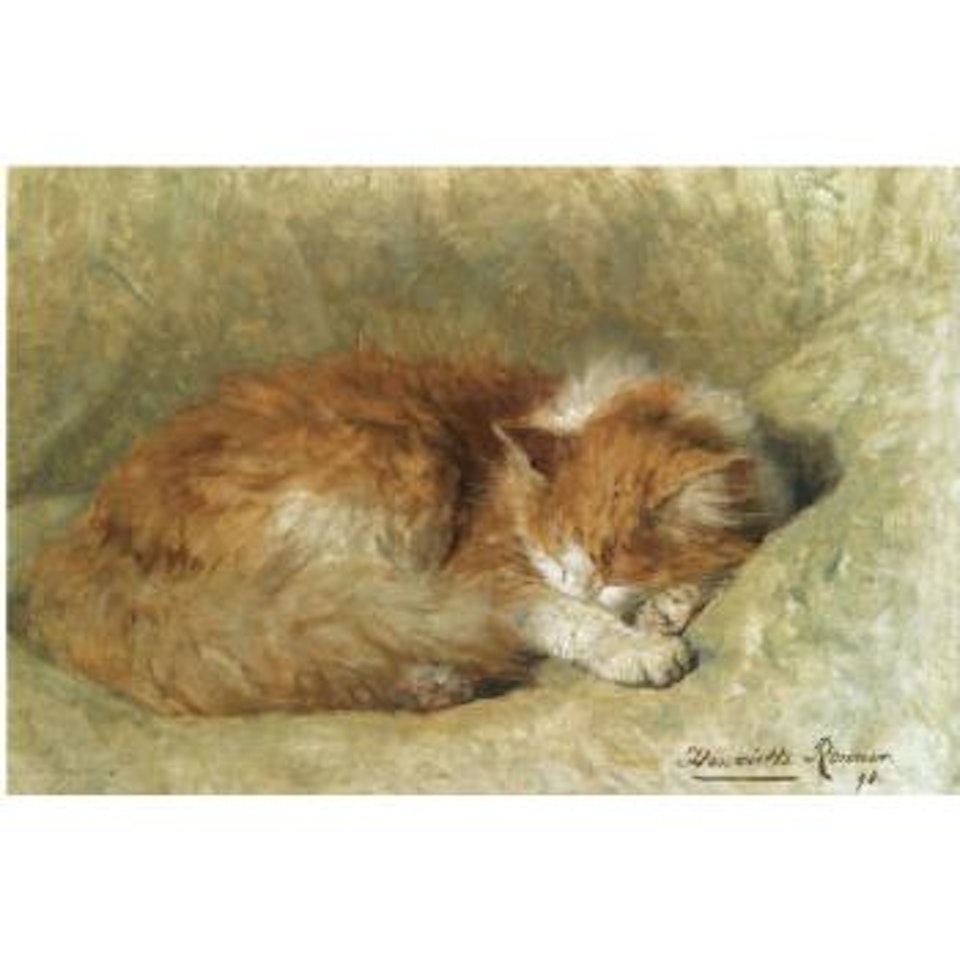 A Sleeping Cat by Henriette Ronner-Knip