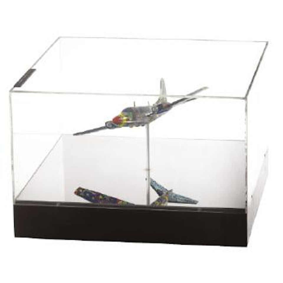 Peter Stuyvesant Foundation, Piper Aerostar 602 P, Model by Niki de Saint Phalle