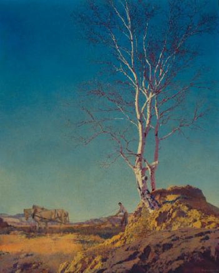 White Birch by Maxfield Parrish