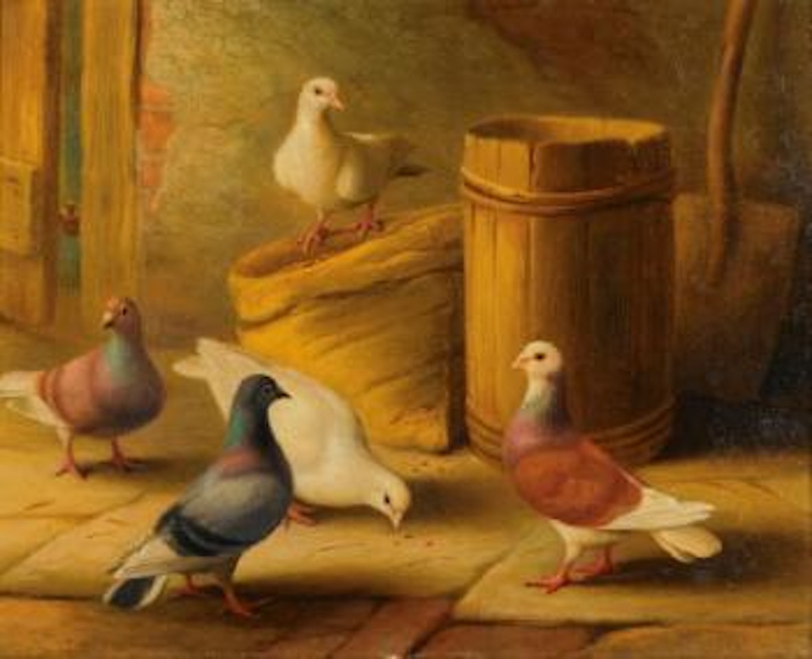 Chickens; Pigeons by Edgar Hunt