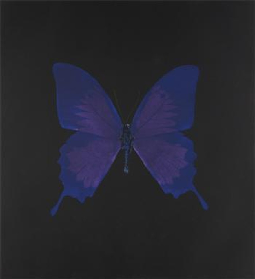 Violet Butterfly by Damien Hirst