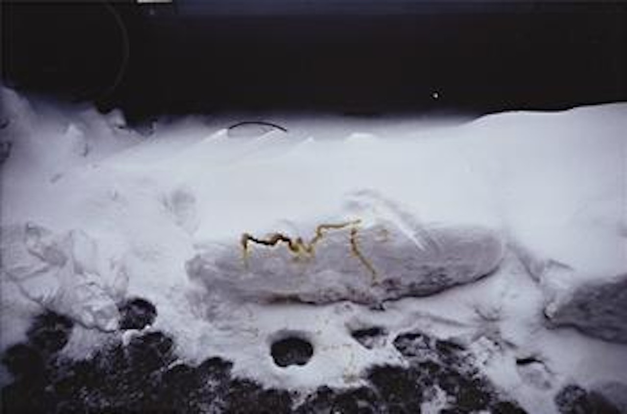 Meada de Perro sobre la Nieve (Dog Urine in Snow) by Gabriel Orozco