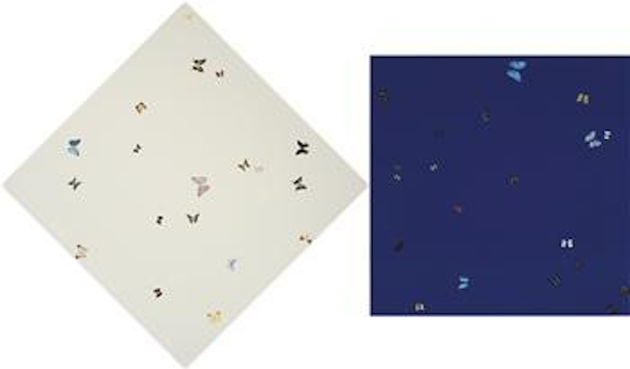 Night Follows Day by Damien Hirst