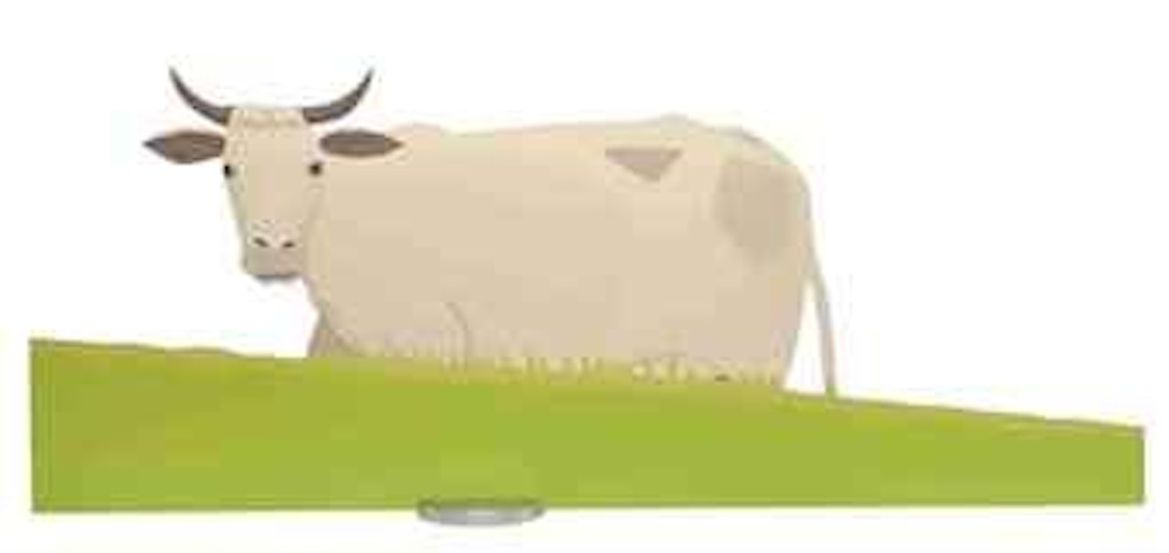 Cow by Alex Katz