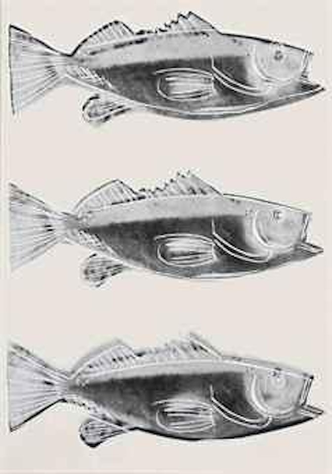 Fish (F. & S. IIIA.39) by Andy Warhol