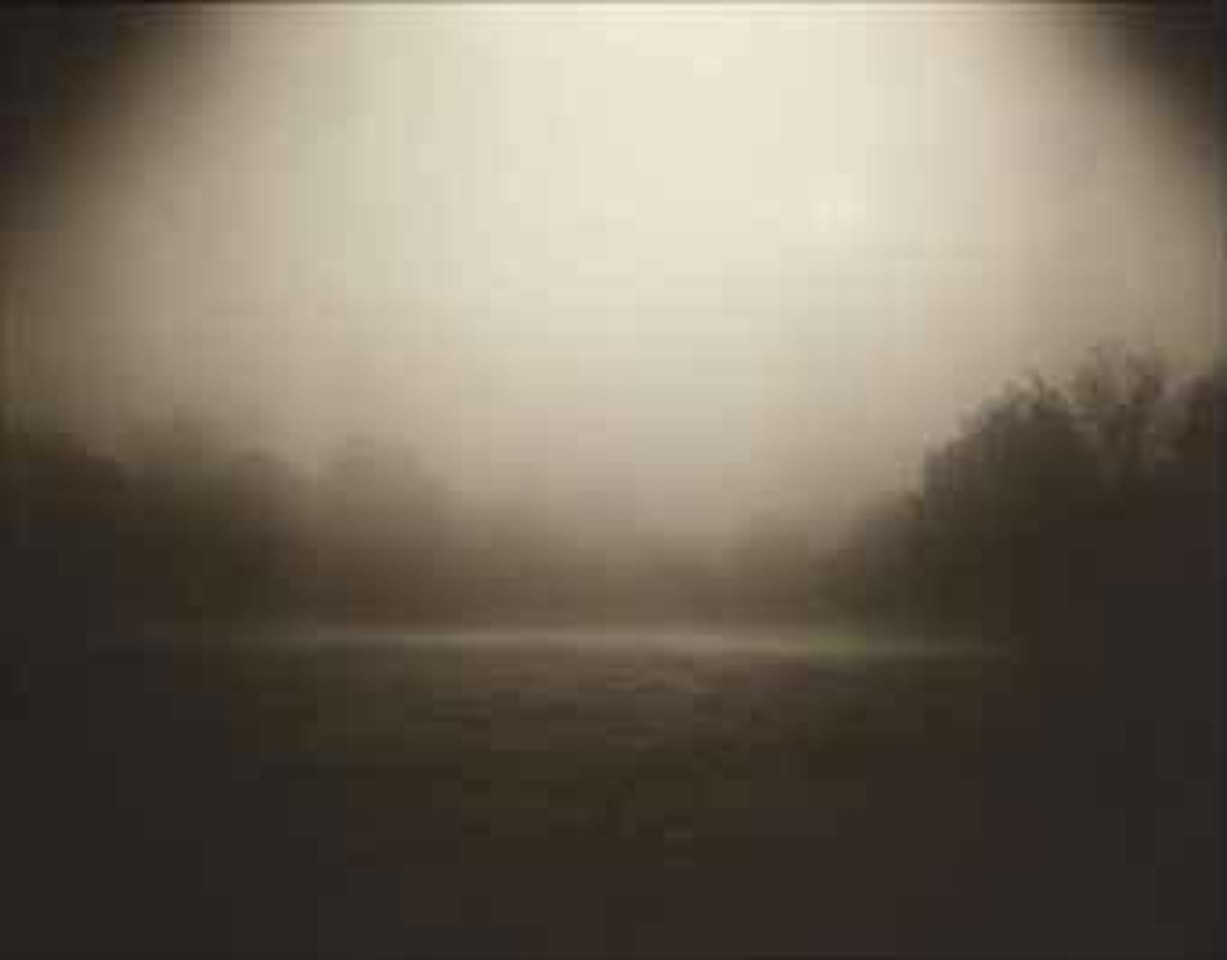Untitled by Sally Mann