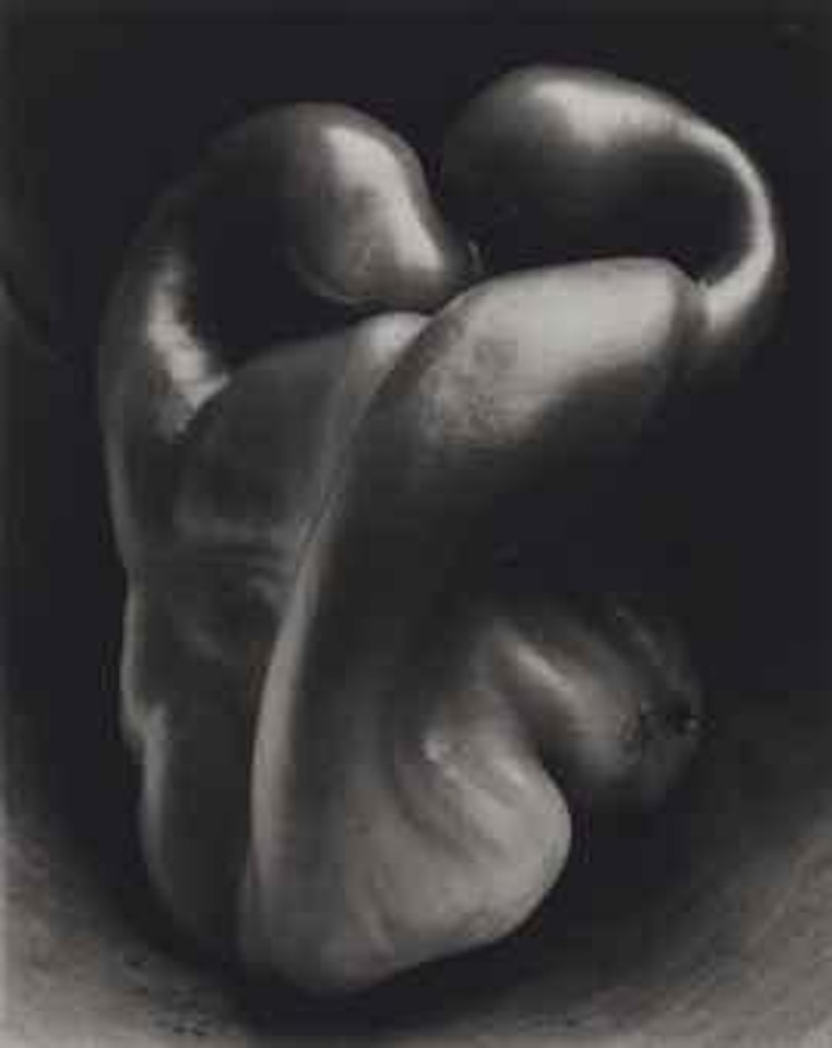 Pepper #30 by Edward Weston