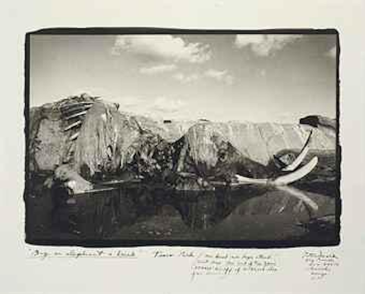 Buy an Elephant a Drink, Tsavo Park, Athi River, Kenya by Peter Beard