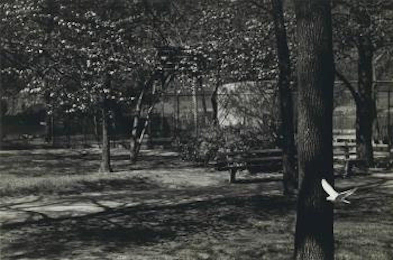 Chicago by Harry Callahan