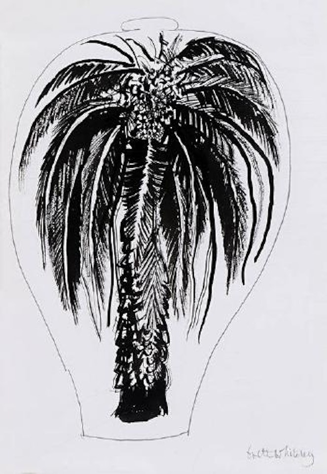 Study for Palm Vase by Brett Whiteley
