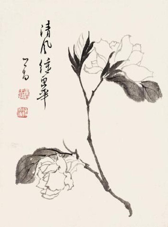 White peony by Pu Ru