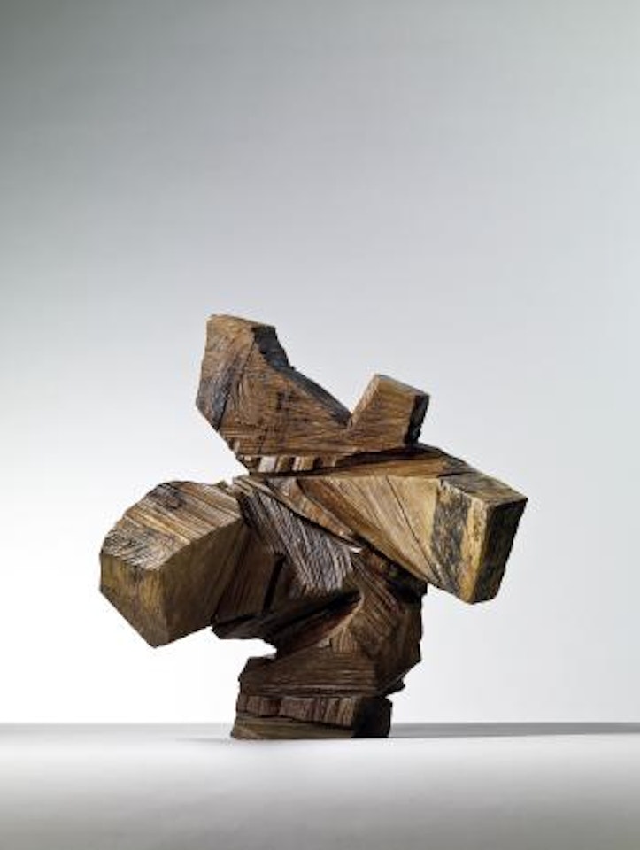 Taichi series by Ju Ming