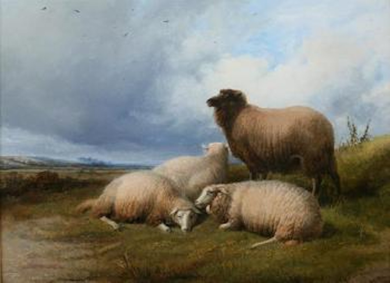 Highland sheep by Thomas Sidney Cooper