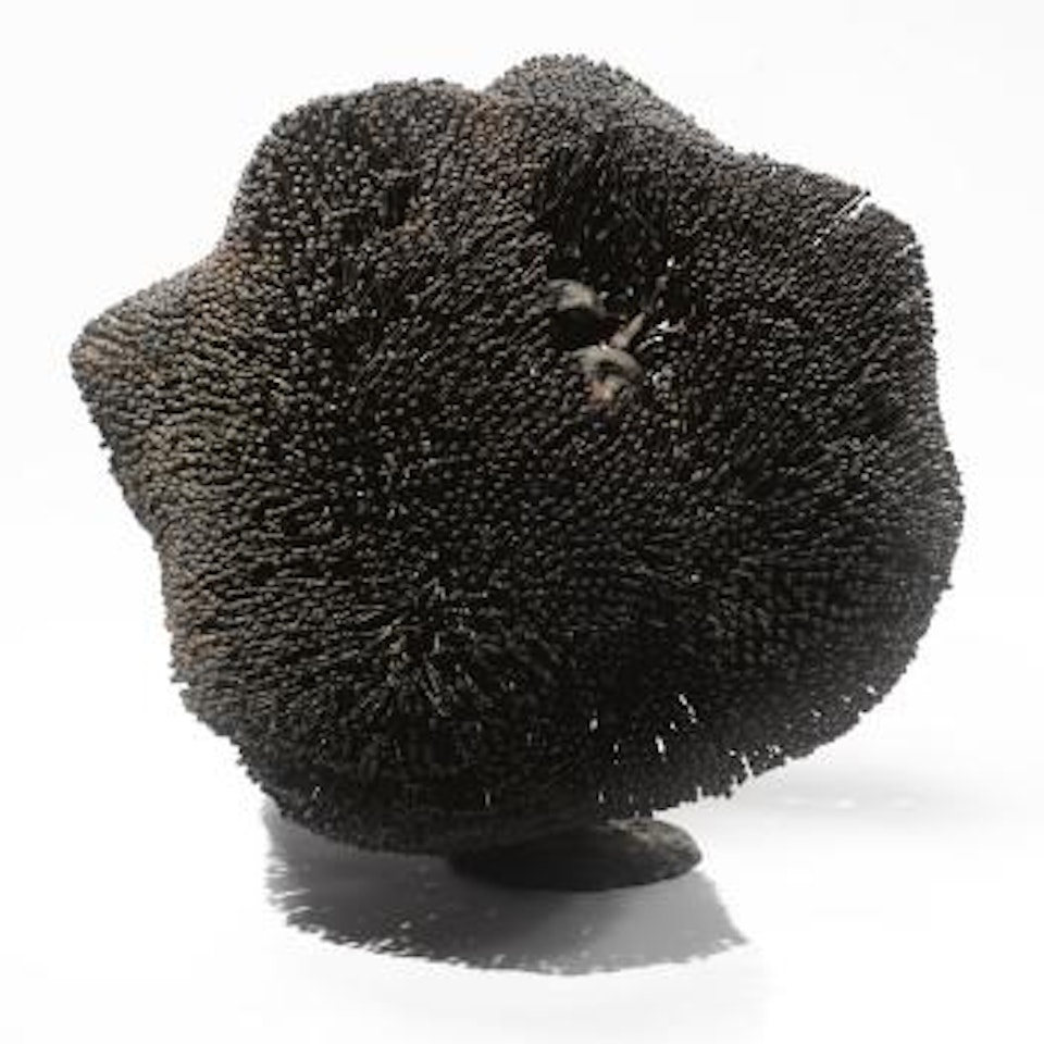 Bush by Harry Bertoia