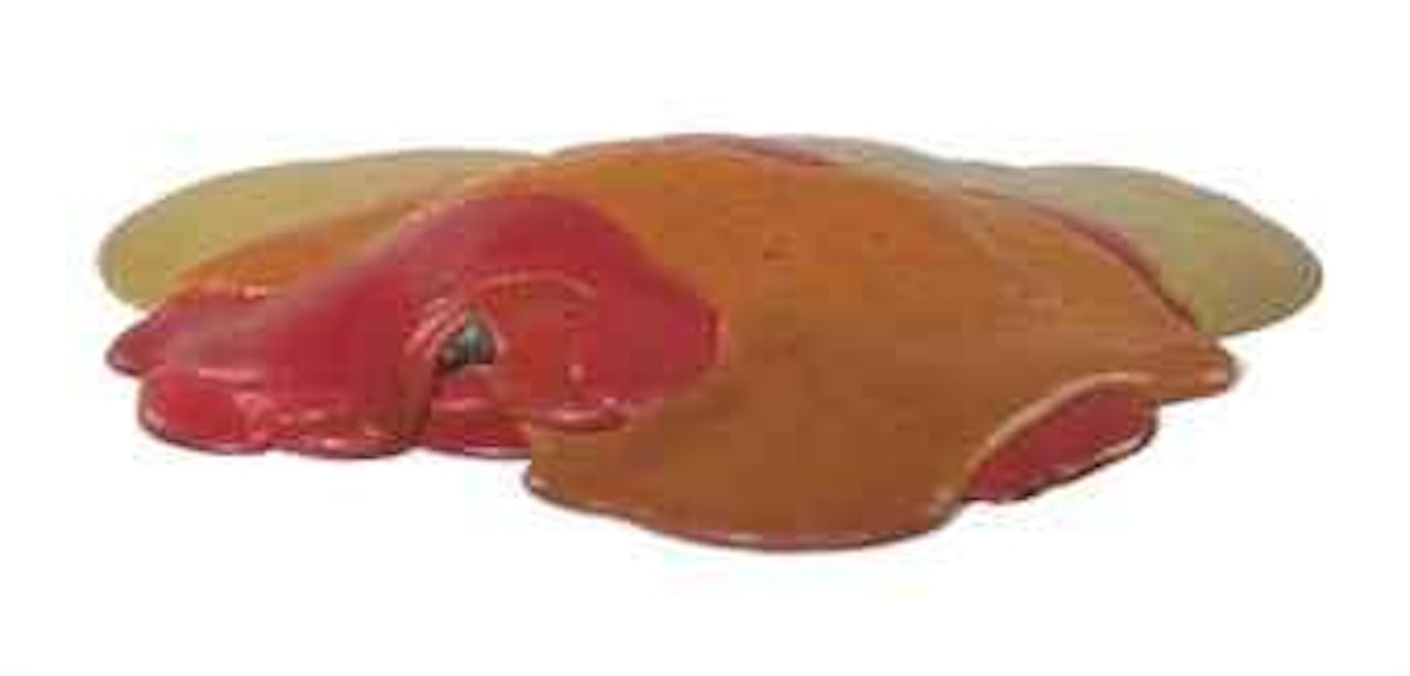 Pocket by Lynda Benglis