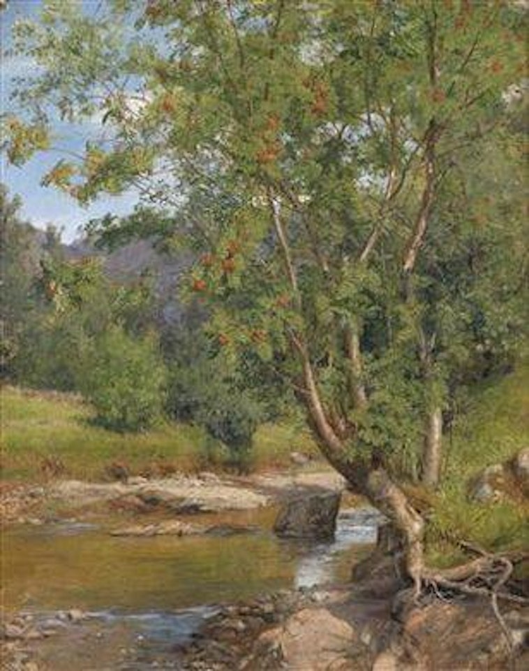 Stream scenery by Anders Monsen Askevold