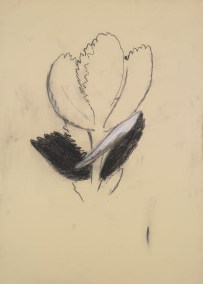 Dark Plants, 4 by Terry Winters