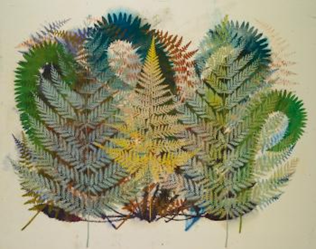 Nephrodium Aspidium by Philip Taaffe